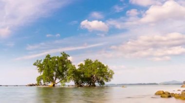 ıssız adada görüntülemek