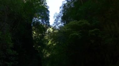 tekne yolculuğu Tayland