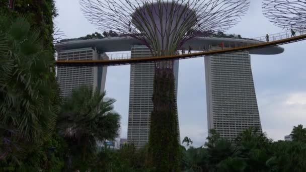 Jardins perto da Baía e Marina Bay Sands — Vídeo de Stock