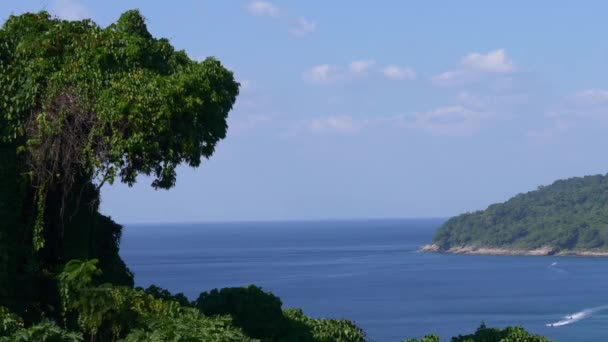 Panorama of coastline in Phuket — Stock Video