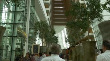 Çiçek kubbe ve bulut ormanı 