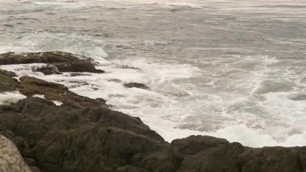 푸 켓 해변에서 폭풍 동안 파도 — 비디오