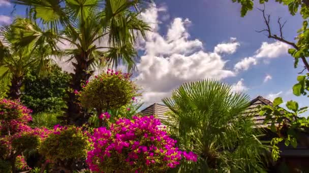 Patong praia palmeiras flores hotel telhado vista 4k time lapse phuket tailândia — Vídeo de Stock