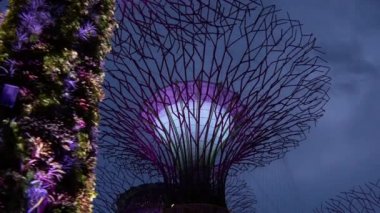 gece koyunda bahçelerle