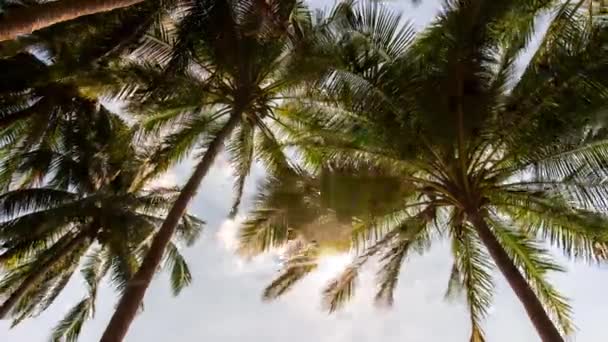 Playa de palma de la isla phuket — Vídeo de stock