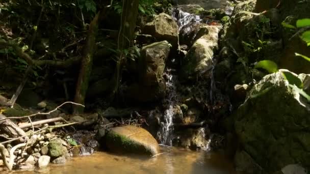 Arroyo de montaña en el bosque tropical — Vídeos de Stock