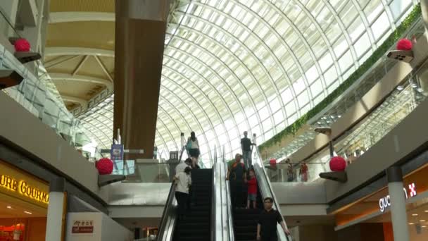 Las tiendas en el centro comercial Marina Bay Sands — Vídeo de stock