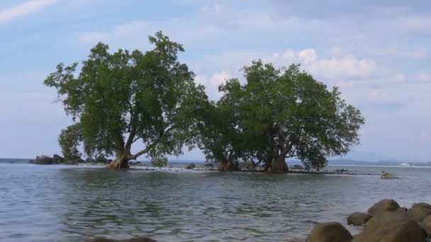 Vista na ilha deserta — Vídeo de Stock