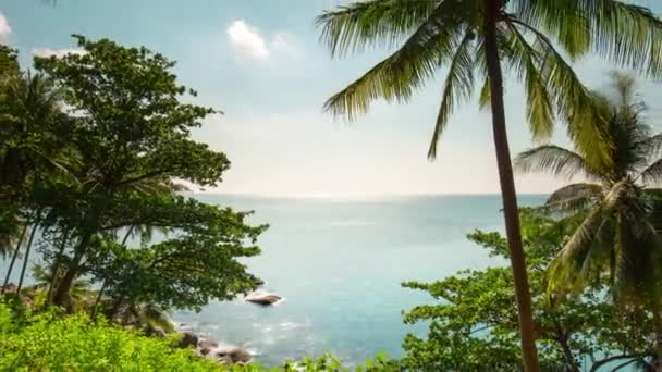 Тропічний пляж з пальмами — стокове відео