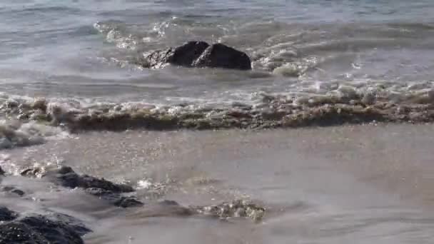 Wellen spülen den Sandstrand — Stockvideo
