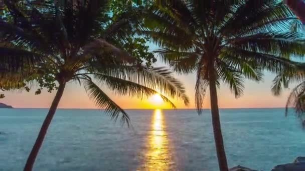 Silhuetter av palmer mot solnedgång himlen — Stockvideo