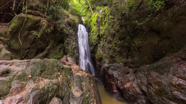 Mountain vattenfall i den tropiska skogen — Stockvideo