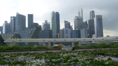 Singapur şehir panoraması
