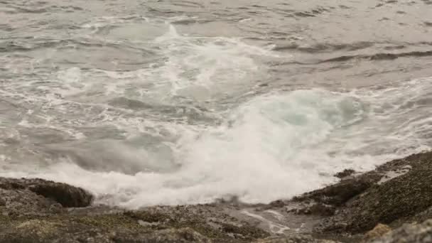 Wellen während des Sturms am Strand von Phuket — Stockvideo