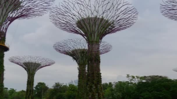 Trädgårdar av bukten och Marina Bay Sands — Stockvideo