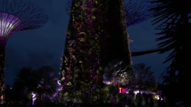 Jardins au bord de la baie la nuit — Video