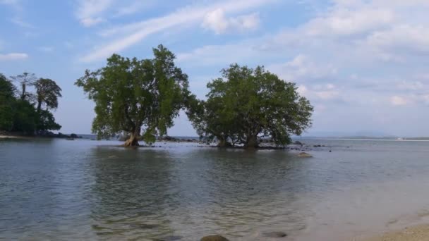 View on desert island — Stock Video