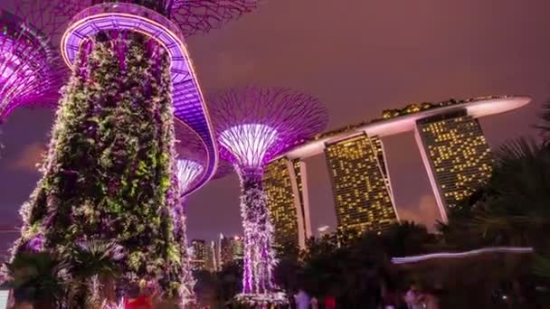 夕阳的湾花园 — 图库视频影像