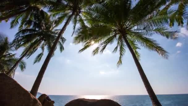 Spiaggia di palma dell'isola di Phuket — Video Stock