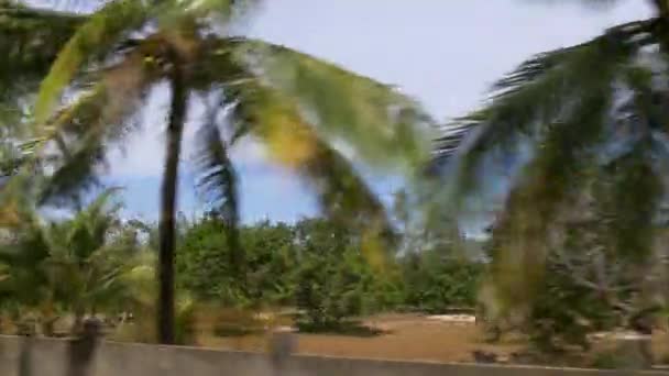 Fahrt entlang des Phuket-Waldes — Stockvideo