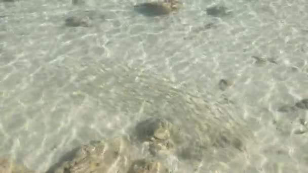 Mar Mediterrâneo Luz solar Água — Vídeo de Stock