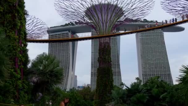 Tuinen langs de baai en de Marina Bay Sands — Stockvideo