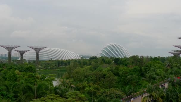 Jardines junto a la bahía — Vídeo de stock