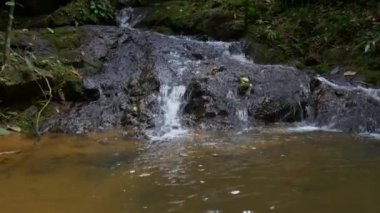 dağ dere tropikal orman