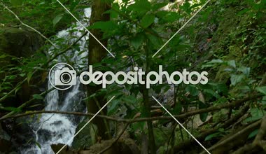 dağ dere tropikal orman