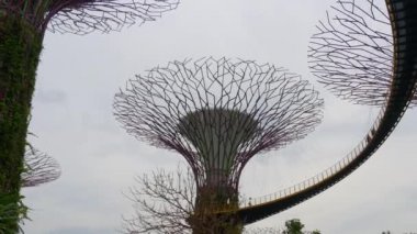 Körfez kenarındaki bahçeler