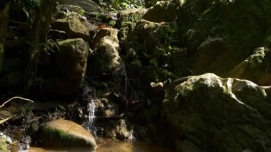 dağ dere tropikal orman