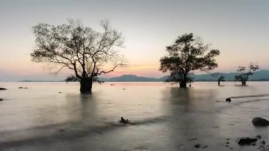 üzerinde beach phuket günbatımı gökyüzü