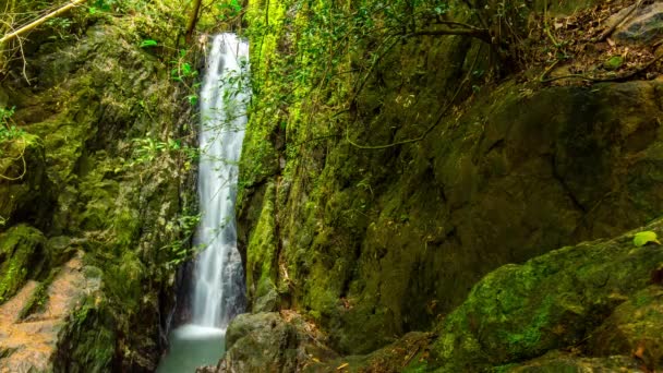 Cascata di montagna nella foresta tropicale — Video Stock