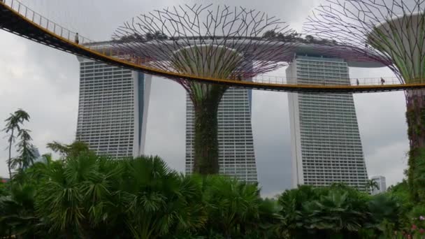 Jardins au bord de la baie et Marina Bay Sands — Video