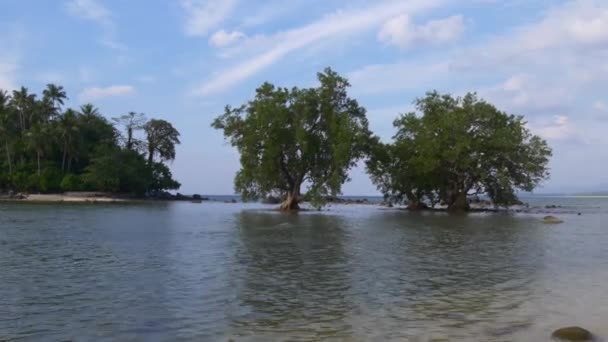 Vista sobre la isla desierta — Vídeo de stock