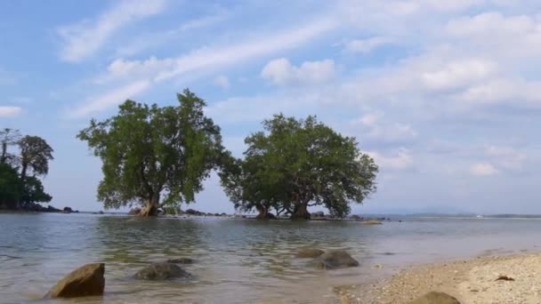 Vista na ilha deserta — Vídeo de Stock