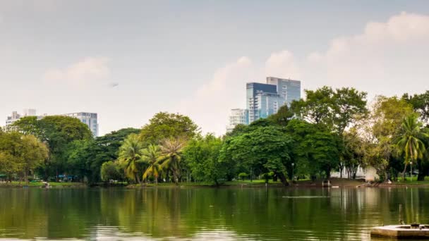 Lumpini park at bangkok — Stock Video