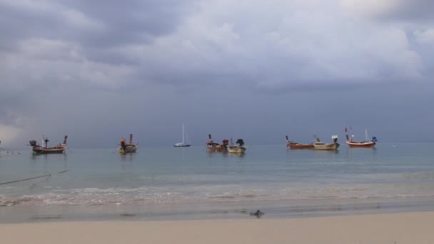 Parque de barcos turísticos — Vídeo de stock