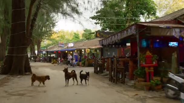 Mercado de frutos da ilha de phuket — Vídeo de Stock