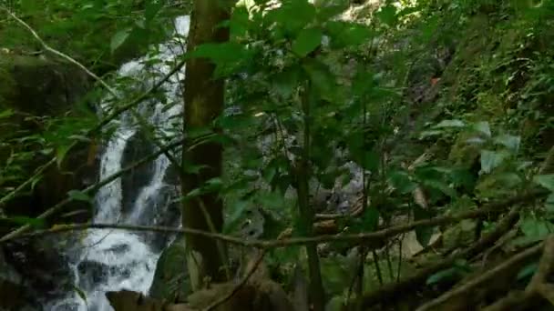 Górski potok w tropikalnym lesie — Wideo stockowe
