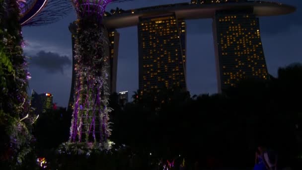 Jardins au bord de la baie la nuit — Video