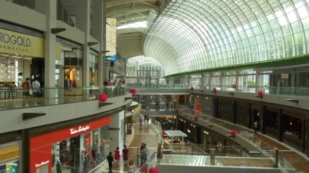Shoppes w hotelu Marina Bay Sands mall — Wideo stockowe
