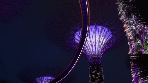 Jardines junto a la bahía por la noche — Vídeo de stock