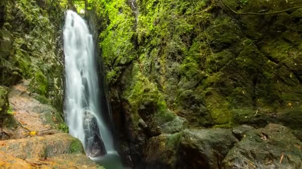 Mountain waterfall in the tropical forest — Stock Video