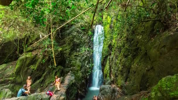 Córrego de montanha na floresta tropical — Vídeo de Stock