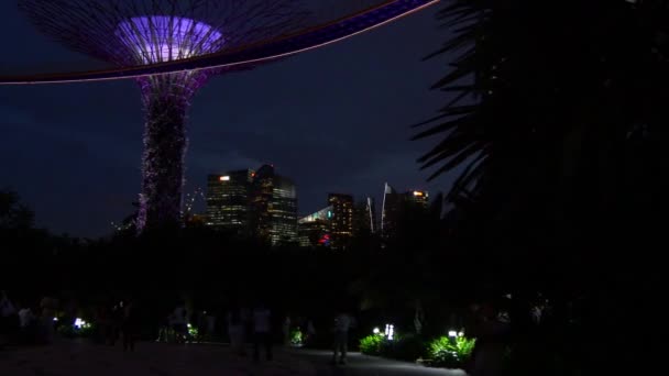 Gärten an der Bucht bei Nacht — Stockvideo