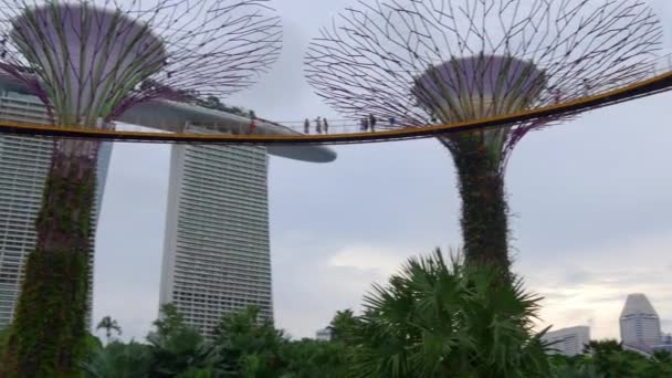 Саду біля затоки і Marina Bay Sands — стокове відео