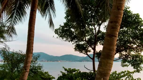 Phuket isla crepúsculo puesta del sol palmera patong panorama 4k lapso de tiempo tailandia — Vídeo de stock