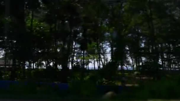 chevauchant le long de la forêt phuket  