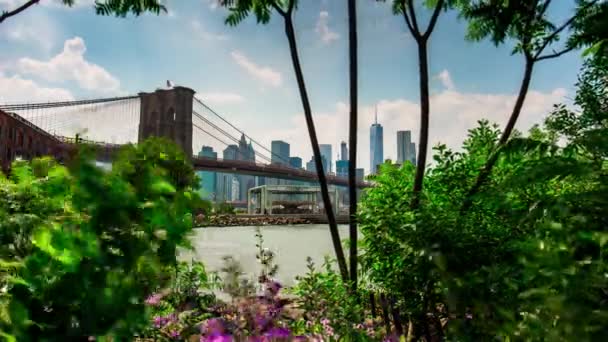 Brooklyn Bucht Manhattan Brücke — Stockvideo